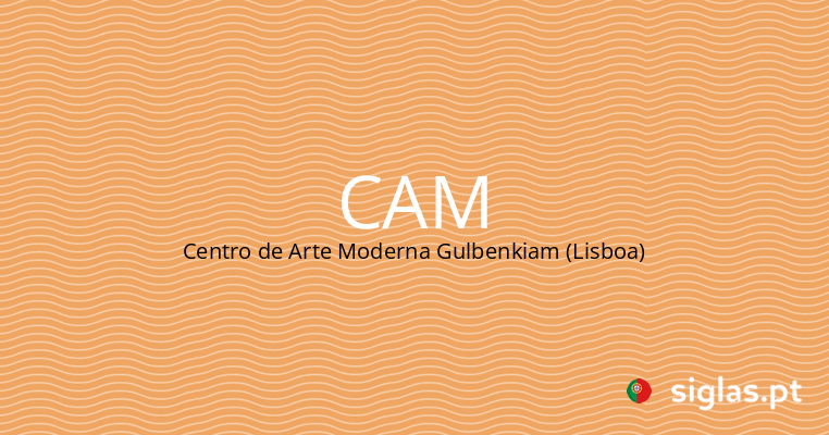 cam centro de arte moderna gulbenkiam lisboa.png