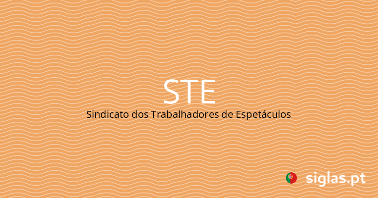 ste sindicato dos trabalhadores de espetaculos.png